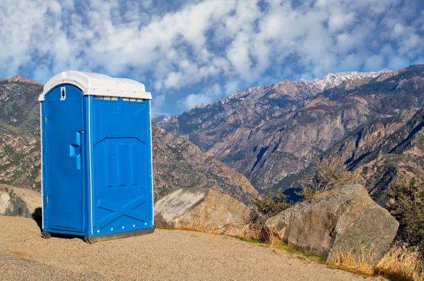 Best Porta potty cleaning services  in Pilot Mountain, NC
