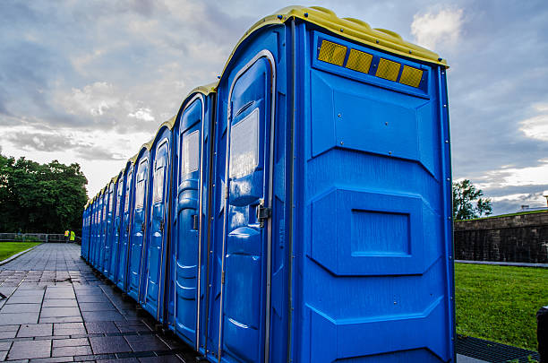 Best Local porta potty services  in Pilot Mountain, NC